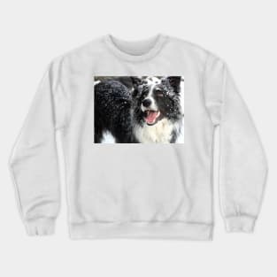 Border Collie in the Snow Crewneck Sweatshirt